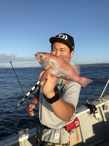 たいし丸 釣果