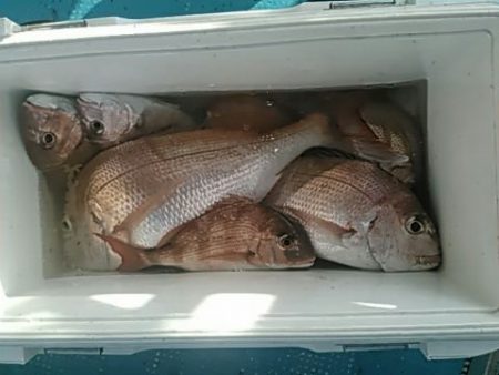 フィッシングガイド りょう 釣果