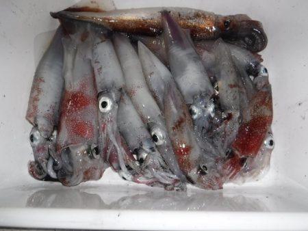 BlueNote Fishing Taxi 釣果