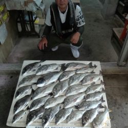 ふじや釣舟店 釣果