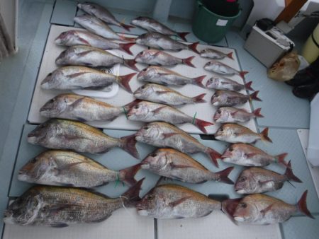 遊漁船 幸友丸 釣果