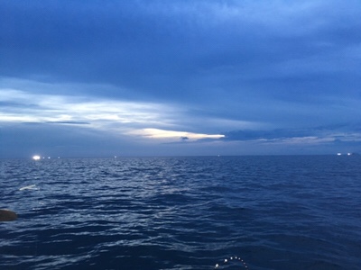 シーモンキー 釣果