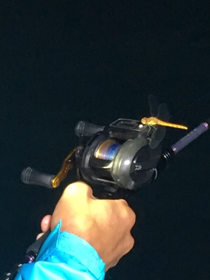 シーモンキー 釣果