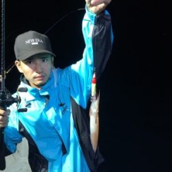 シーモンキー 釣果