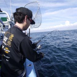 松鶴丸 釣果