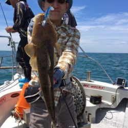 シーモンキー 釣果