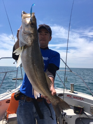 シーモンキー 釣果