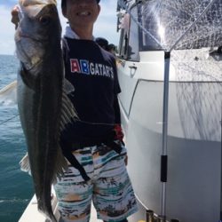 シーモンキー 釣果