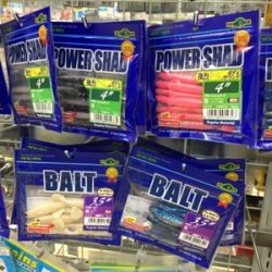 シーモンキー 釣果