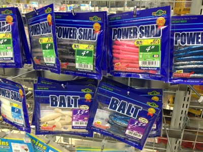 シーモンキー 釣果