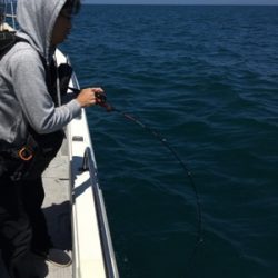 シーモンキー 釣果