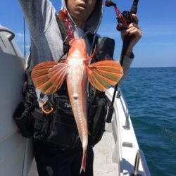 シーモンキー 釣果