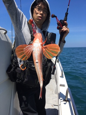 シーモンキー 釣果