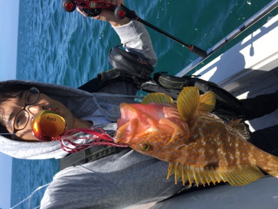 シーモンキー 釣果