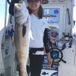 シーモンキー 釣果