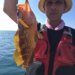 シーモンキー 釣果