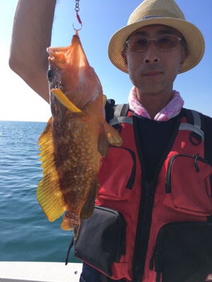 シーモンキー 釣果