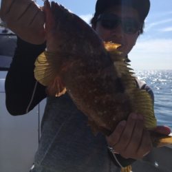 シーモンキー 釣果