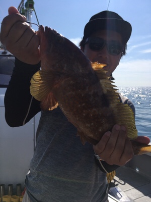 シーモンキー 釣果