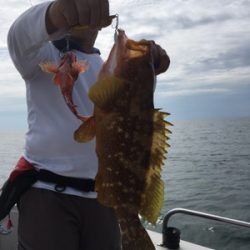 シーモンキー 釣果