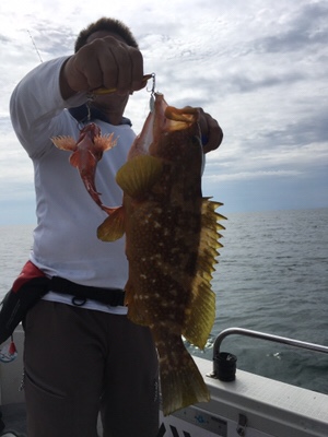 シーモンキー 釣果