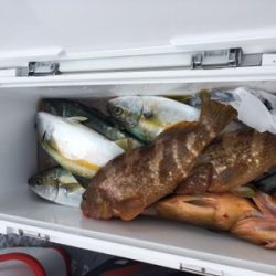 シーモンキー 釣果