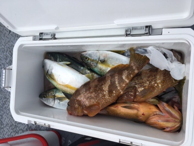 シーモンキー 釣果