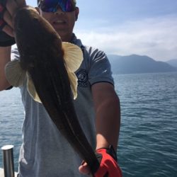 シーモンキー 釣果