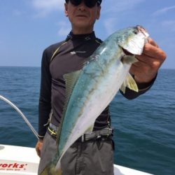 シーモンキー 釣果