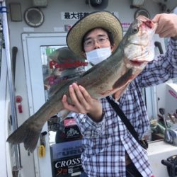 シーモンキー 釣果