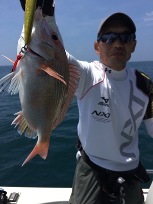 シーモンキー 釣果