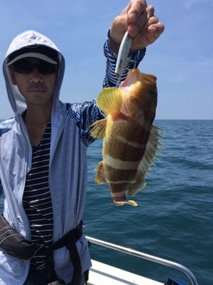 シーモンキー 釣果