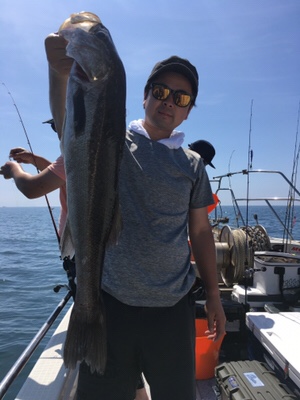 シーモンキー 釣果