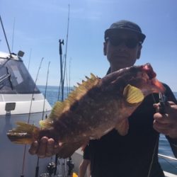 シーモンキー 釣果