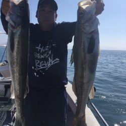 シーモンキー 釣果