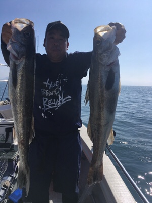 シーモンキー 釣果