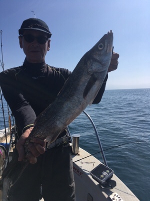 シーモンキー 釣果