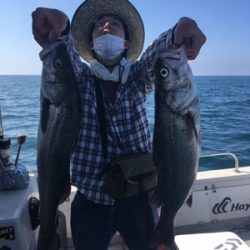 シーモンキー 釣果