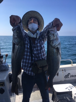 シーモンキー 釣果