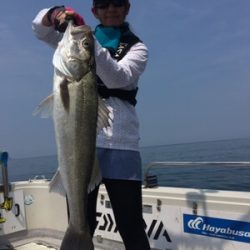 シーモンキー 釣果