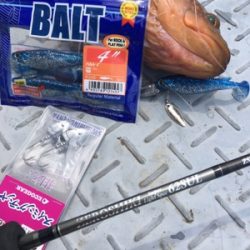 シーモンキー 釣果