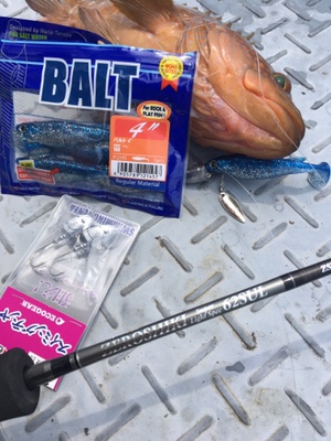 シーモンキー 釣果