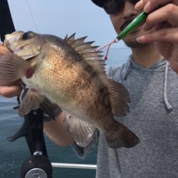 シーモンキー 釣果