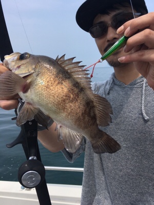 シーモンキー 釣果