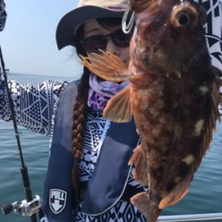 シーモンキー 釣果