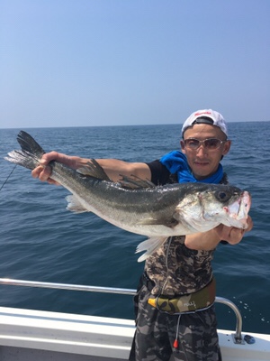 シーモンキー 釣果