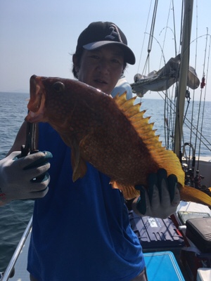 シーモンキー 釣果