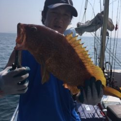 シーモンキー 釣果