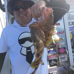 シーモンキー 釣果