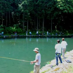 小菅トラウトガーデン 釣果